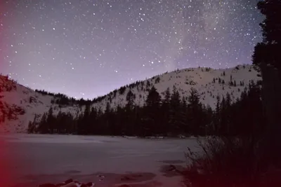 DSC_5980 (Large).JPG